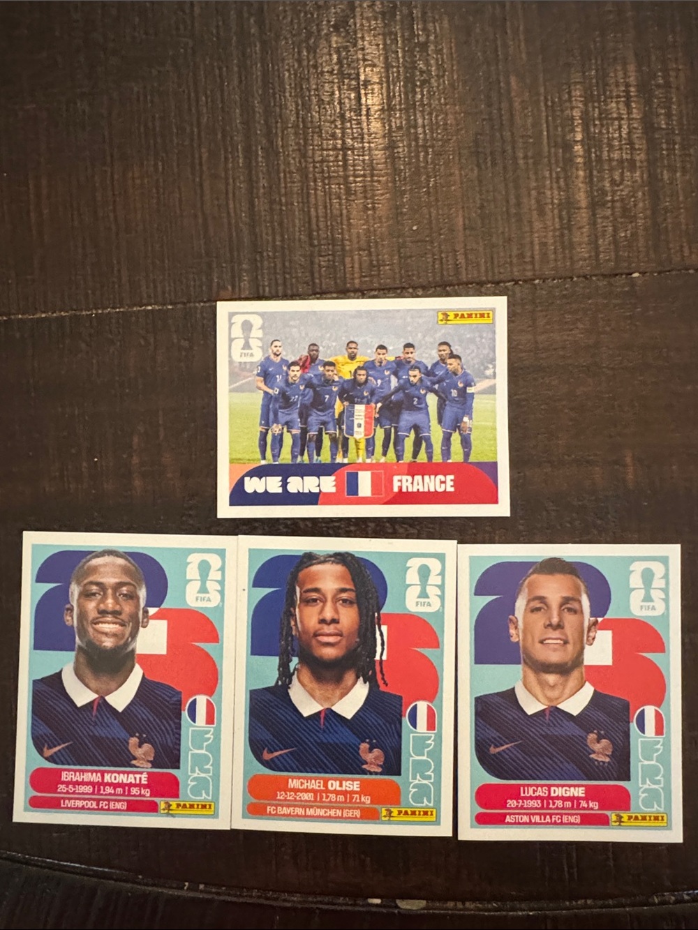 Panini France Team Stickers